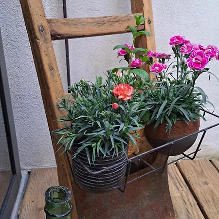 Bed & Breakfast Le Patio De Ninou