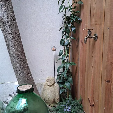 Le Patio De Ninou